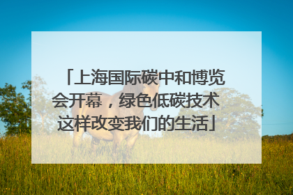 上海国际碳中和博览会开幕，绿色低碳技术这样改变我们的生活