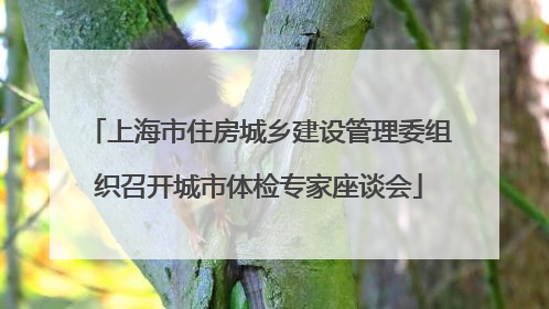 上海市住房城乡建设管理委组织召开城市体检专家座谈会