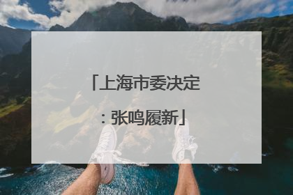 上海市委决定：张鸣履新