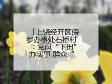 上饶经开区傍罗办事处石桥村：党员“下田”办实事 群众“点赞”笑开颜
