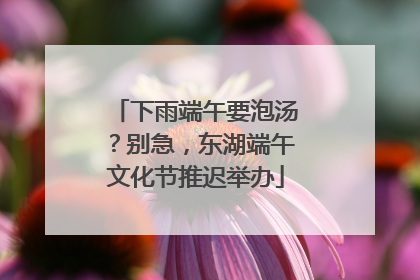 下雨端午要泡汤？别急，东湖端午文化节推迟举办