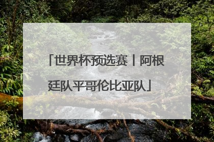 世界杯预选赛丨阿根廷队平哥伦比亚队