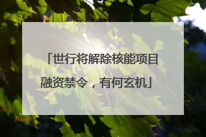 世行将解除核能项目融资禁令，有何玄机