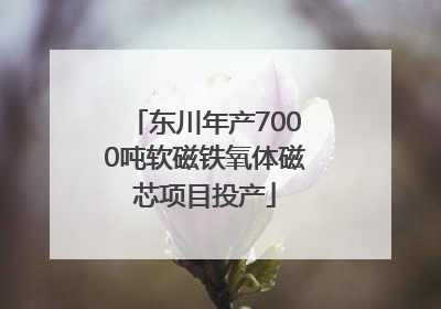 东川年产7000吨软磁铁氧体磁芯项目投产