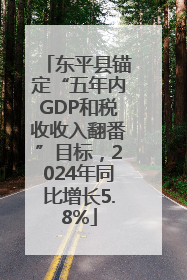 东平县锚定“五年内GDP和税收收入翻番”目标，2024年同比增长5.8%