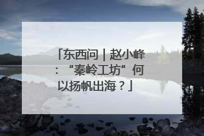 东西问｜赵小峰：“秦岭工坊”何以扬帆出海？