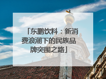 东鹏饮料：新消费浪潮下的民族品牌突围之路