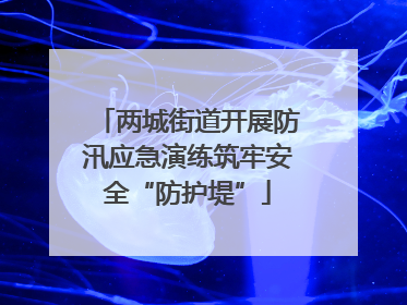 两城街道开展防汛应急演练筑牢安全“防护堤”