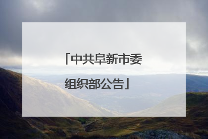 中共阜新市委组织部公告