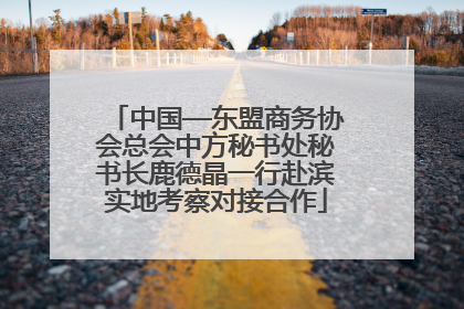 中国—东盟商务协会总会中方秘书处秘书长鹿德晶一行赴滨实地考察对接合作