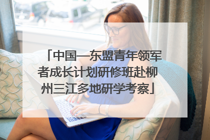 中国—东盟青年领军者成长计划研修班赴柳州三江多地研学考察