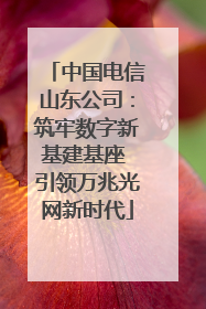 中国电信山东公司：筑牢数字新基建基座 引领万兆光网新时代