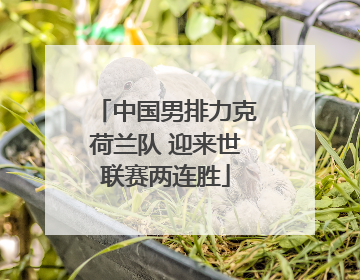 中国男排力克荷兰队 迎来世联赛两连胜
