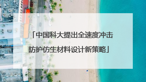 中国科大提出全速度冲击防护仿生材料设计新策略