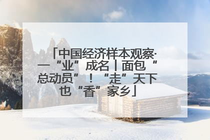 中国经济样本观察·一“业”成名丨面包“总动员”！“走”天下也“香”家乡