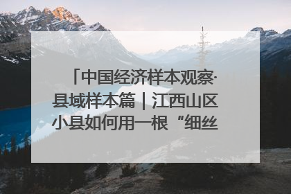 中国经济样本观察·县域样本篇｜江西山区小县如何用一根“细丝”拉出百亿级产业？
