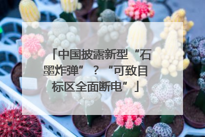 中国披露新型“石墨炸弹”？“可致目标区全面断电”