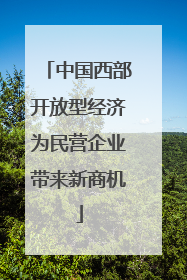 中国西部开放型经济为民营企业带来新商机