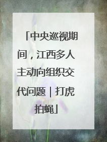 中央巡视期间，江西多人主动向组织交代问题｜打虎拍蝇