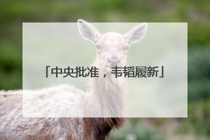 中央批准，韦韬履新