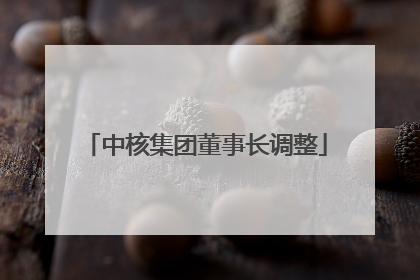 中核集团董事长调整