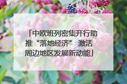 中欧班列密集开行助推“落地经济” 激活周边地区发展新动能