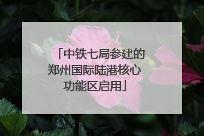 中铁七局参建的郑州国际陆港核心功能区启用