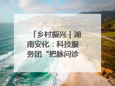 乡村振兴｜湖南安化：科技服务团“把脉问诊”水果产业