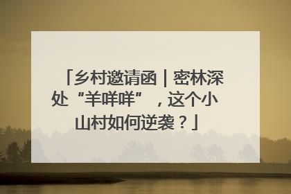 乡村邀请函｜密林深处“羊咩咩”，这个小山村如何逆袭？