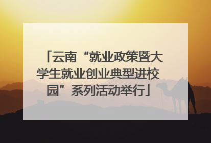 云南“就业政策暨大学生就业创业典型进校园”系列活动举行