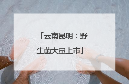云南昆明：野生菌大量上市