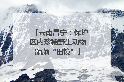 云南昌宁：保护区内珍稀野生动物频频“出镜”