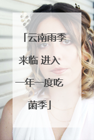 云南雨季来临 进入一年一度吃菌季