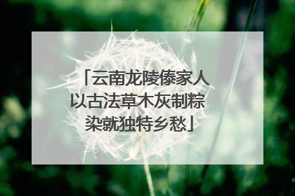 云南龙陵傣家人以古法草木灰制粽 染就独特乡愁