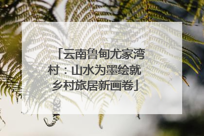 云南鲁甸尤家湾村：山水为墨绘就乡村旅居新画卷