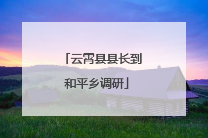 云霄县县长到和平乡调研