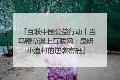 互联中国公益行动丨当马鞭草遇上互联网：昆明小渔村的逆袭密码