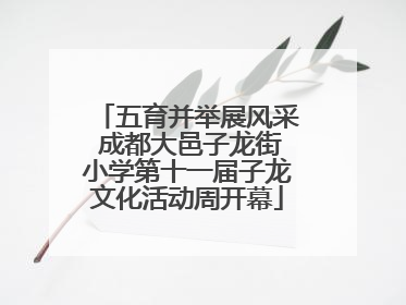 五育并举展风采 成都大邑子龙街小学第十一届子龙文化活动周开幕