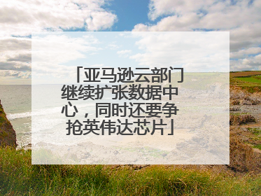 亚马逊云部门继续扩张数据中心，同时还要争抢英伟达芯片
