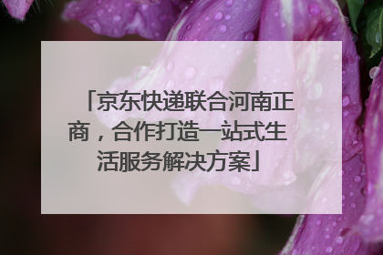 京东快递联合河南正商，合作打造一站式生活服务解决方案