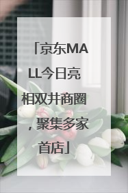 京东MALL今日亮相双井商圈，聚集多家首店