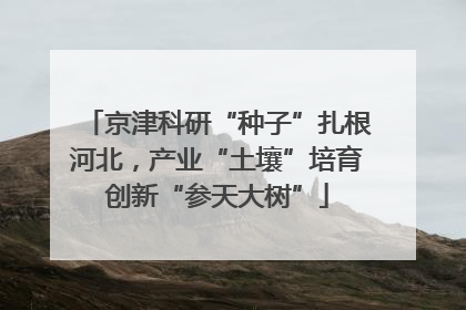 京津科研“种子”扎根河北，产业“土壤”培育创新“参天大树”