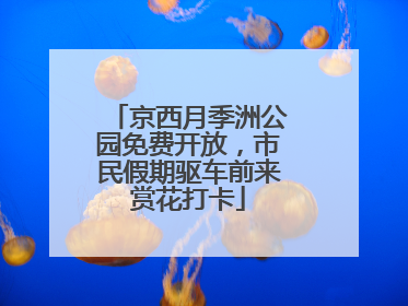 京西月季洲公园免费开放，市民假期驱车前来赏花打卡