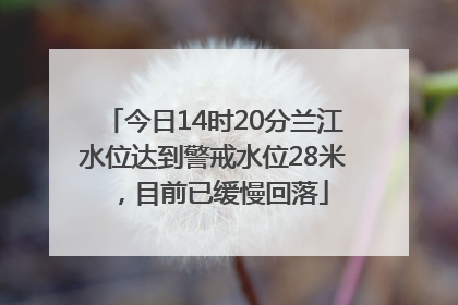 今日14时20分兰江水位达到警戒水位28米，目前已缓慢回落