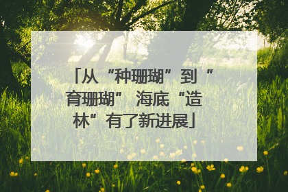 从“种珊瑚”到“育珊瑚” 海底“造林”有了新进展