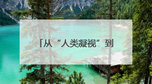 从“人类凝视”到“自然回望”——杭州文旅品牌活动让大自然“发声”
