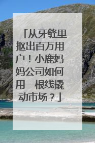 从牙缝里抠出百万用户！小鹿妈妈公司如何用一根线撬动市场？
