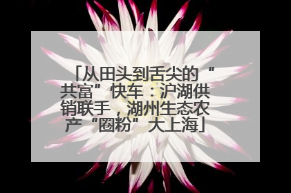 从田头到舌尖的“共富”快车：沪湖供销联手，湖州生态农产“圈粉”大上海