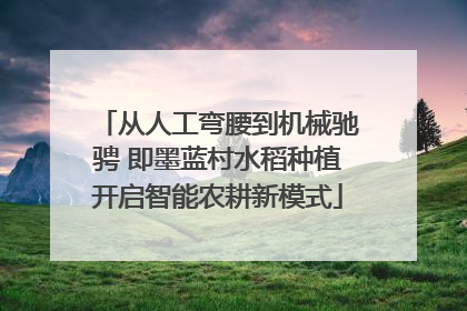 从人工弯腰到机械驰骋 即墨蓝村水稻种植开启智能农耕新模式