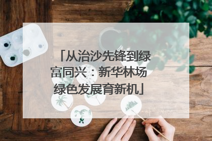 从治沙先锋到绿富同兴：新华林场绿色发展育新机